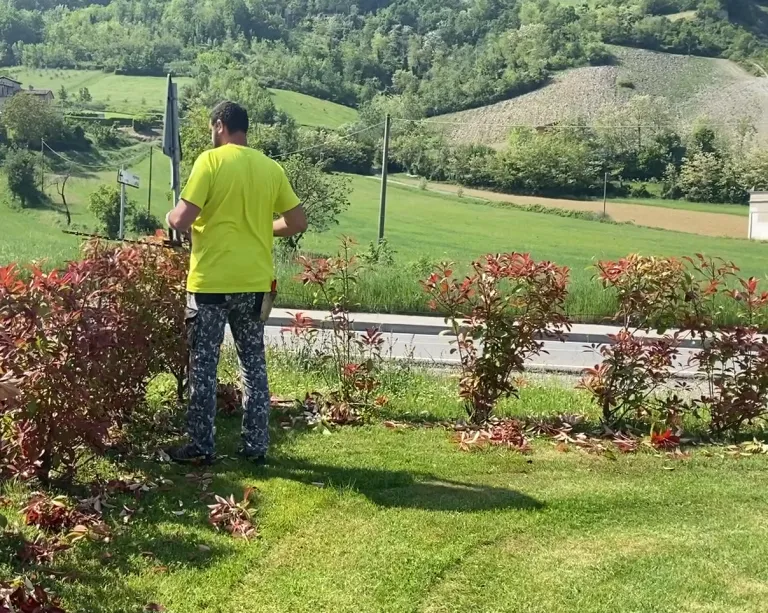Operatore CEGS con tagliasiepi durante la potatura di una siepe